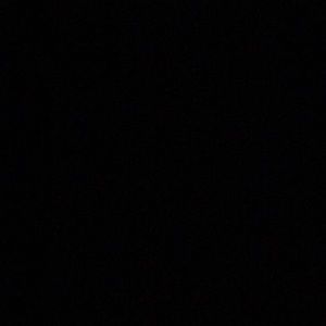 Meet your Posher, Trevon